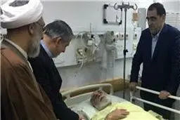 وزیر ارشاد از حجت‌الاسلام ناطق نوری عیادت کرد