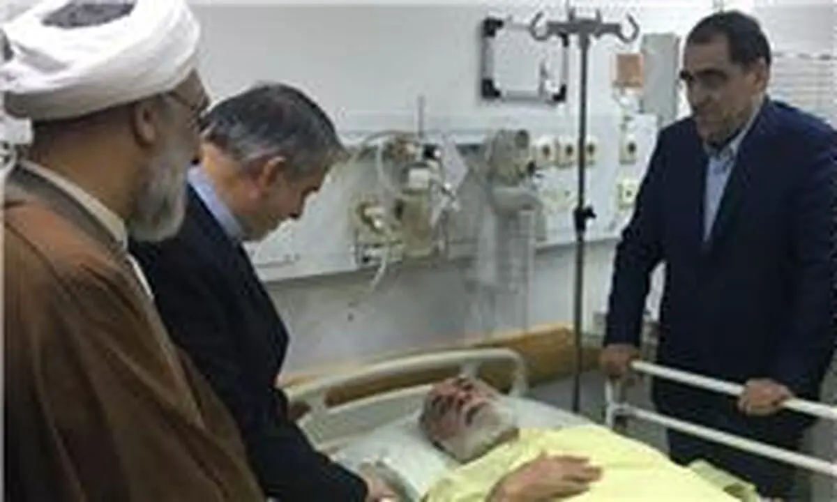 وزیر ارشاد از حجت‌الاسلام ناطق نوری عیادت کرد
