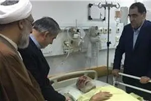وزیر ارشاد از حجت‌الاسلام ناطق نوری عیادت کرد