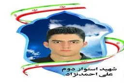 عامل شهادت مأمور انتظامی ملارد دستگیر شد/ قاتل ۱۱ سابقه جرم دارد