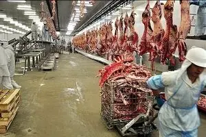 گرانی‌های سرسام آور گوشت، مرغ، برنج و میوه ۴۰ روز مانده به عید نوروز!