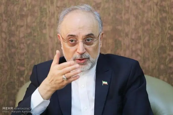 حضور ما در راهپیمایی حساب کار را دست "طرف" می‌دهد