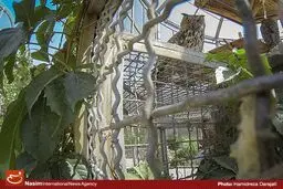 فاز نهایی باغ پرندگان تا پایان امسال به بهره‌برداری می‌رسد