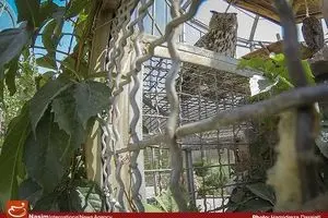 فاز نهایی باغ پرندگان تا پایان امسال به بهره‌برداری می‌رسد