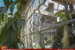 فاز نهایی باغ پرندگان تا پایان امسال به بهره‌برداری می‌رسد