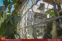 فاز نهایی باغ پرندگان تا پایان امسال به بهره‌برداری می‌رسد