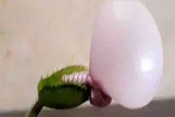 گیاهی که آدمس می‌خورد!