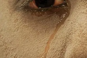 نمی‌توان راحت ماند