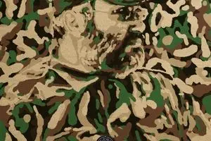 همیشه سرباز