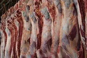 آمار معاون اول درباره قیمت گوشت اشتباه است/ خرید گوشت قرمز ۴۰ درصد کم شد!