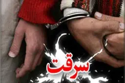 دستگیری زنان سارق طلا فروشی‌های شهر تهران +عکس