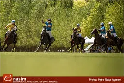 سوء مدیریتی که یک ورزش باستانی را از ایران گرفت