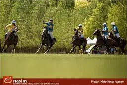 سوء مدیریتی که یک ورزش باستانی را از ایران گرفت