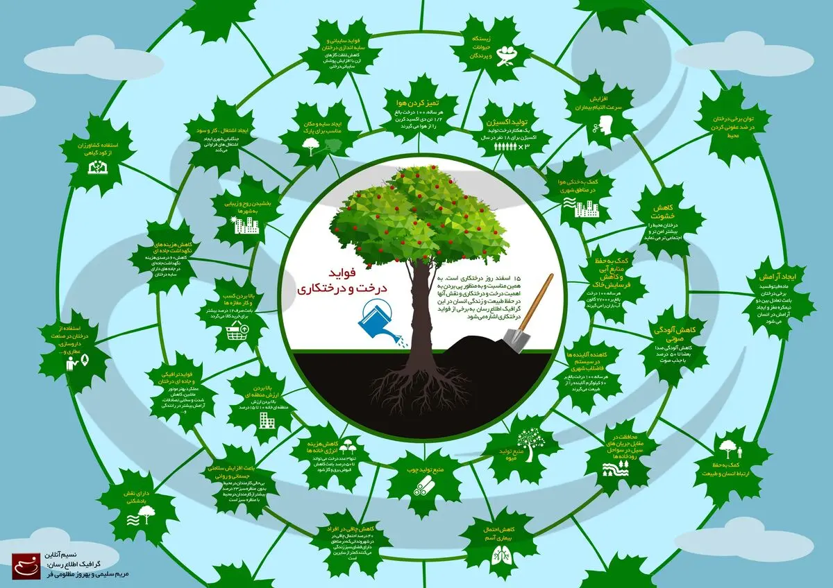 فواید درخت و درختکاری