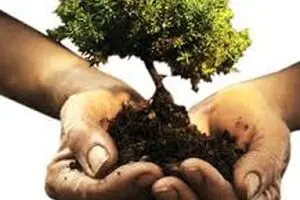 روز درختکاری، بهانه‌ای برای پاسداشت حقوق شهروندی