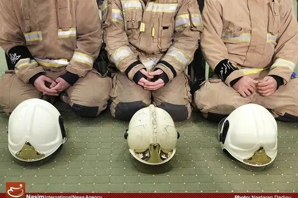 کاشت نهال‌هایی به یاد شهدای آتش نشان