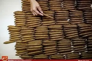 مراحل تولید سیگار کوبایی‎