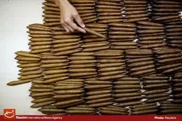 مراحل تولید سیگار کوبایی‎