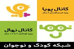 مدیر آرشیو شبکه کودک سیما منصوب شد