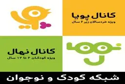 مدیر آرشیو شبکه کودک سیما منصوب شد