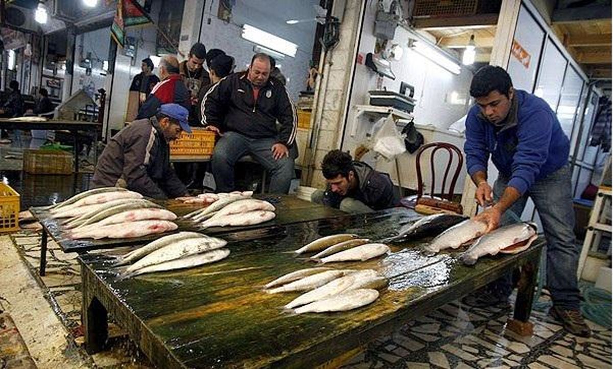 خرید ماهی نسبت به سال گذشته ۲۰ درصد کم شد!/ مردم پول ندارند ماهی بخرند