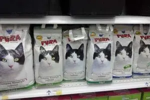 واردات ۲۶۰۰ تن غذای سگ و گربه پس از برجام! + نمودار