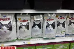 واردات ۲۶۰۰ تن غذای سگ و گربه پس از برجام! + نمودار