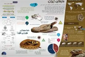 مارهای ایران