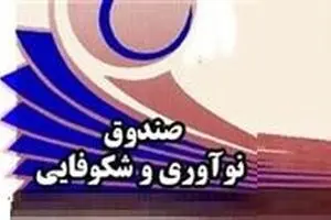 همکاری با اتاق بازرگانی خطری برای صندوق و شرکت‌های دانش بنیان ندارد