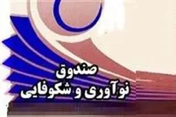 همکاری با اتاق بازرگانی خطری برای صندوق و شرکت‌های دانش بنیان ندارد