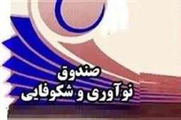 همکاری با اتاق بازرگانی خطری برای صندوق و شرکت‌های دانش بنیان ندارد