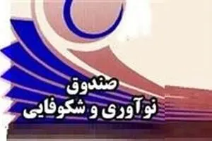 همکاری با اتاق بازرگانی خطری برای صندوق و شرکت‌های دانش بنیان ندارد