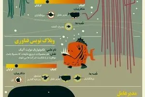 اکوسیستم استارتاپی چگونه است؟