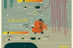 اکوسیستم استارتاپی چگونه است؟