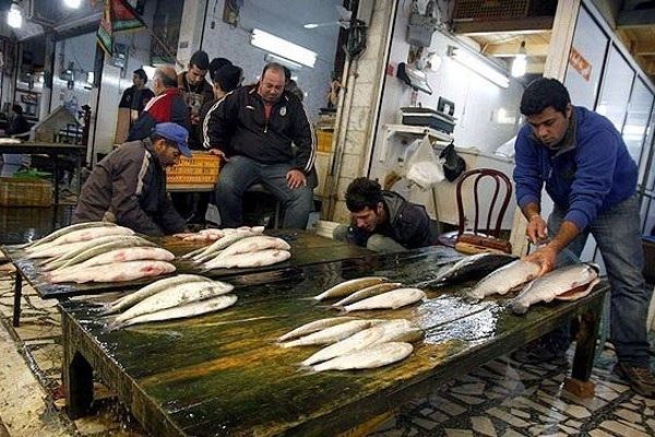 جایگاه ممتاز کشور در تولید ماهی قزل آلا