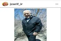 ظریف به اینستاگرام پیوست