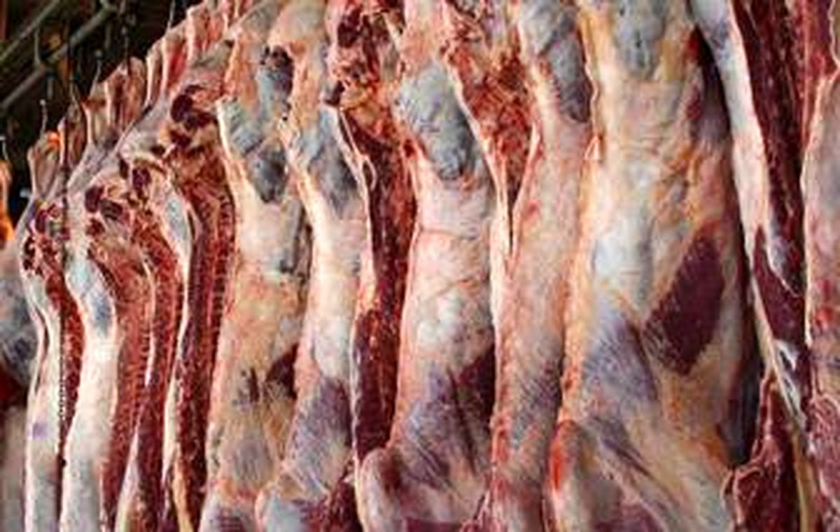 گوشت گوساله ۴ هزار تومان گران شد/ دولت اقدامی برای کاهش قیمت کوشت انجام نداده