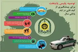 توصیه پلیس برای پیشگیری از کیف‌قاپی در ایام پایانی سال