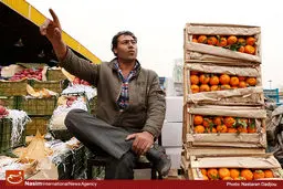 گرانی بی‌سابقه میوه در ساعات پایانی سال ۹۵/ قیمت سیب به ۱۱۵۰۰تومان رسید!