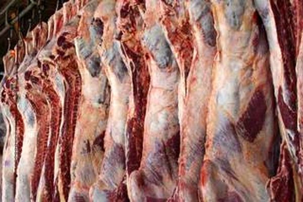 توزیع گوشت منجمد و یخ زده در بازار/ مرغ کیلویی ۷۵۰۰ تومان است/ با واردات گوشت قرمز حتما قیمت‌ها ارزان می‌شود