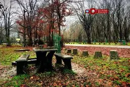 ۱۱۸ پارک‌ جنگلی شمال کشور برای روز طبیعت آماده شدند