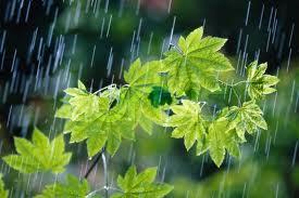 بارش باران در اغلب مناطق کشور از امروزآغاز می شود