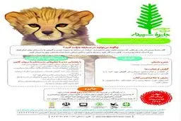 فراخوان سومین جایزه سپیدار منتشر شد