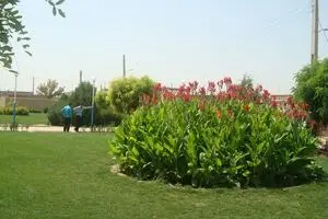 اختصاص حداقل ۱۰ درصد از مساحت واحدهای صنعتی و تولیدی به ایجاد فضای سبز