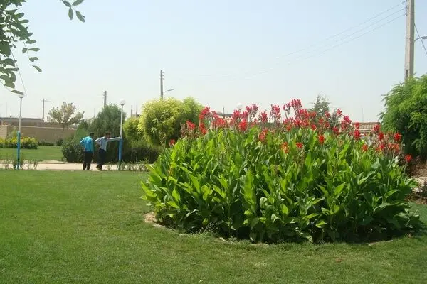 اختصاص حداقل ۱۰ درصد از مساحت واحدهای صنعتی و تولیدی به ایجاد فضای سبز