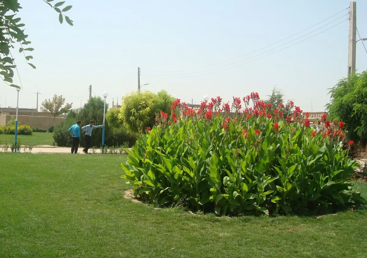 اختصاص حداقل ۱۰ درصد از مساحت واحدهای صنعتی و تولیدی به ایجاد فضای سبز
