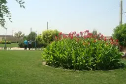 اختصاص حداقل ۱۰ درصد از مساحت واحدهای صنعتی و تولیدی به ایجاد فضای سبز