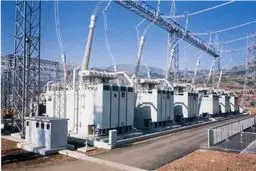 توضیحات مقام مسئول درباره قطعی‌های پراکنده برق در تهران!/ دلیل قطعی برق تهران افتادن شاخه درختان و بهسازی شبکه توزیع است