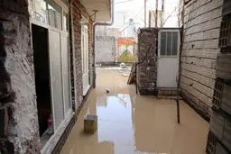 باران آمد؛ ۳۶ ایرانی را با خود برد