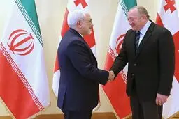 علاقه‌‌مندی گرجستان نسبت به تعمیق و توسعه مناسبات با ایران/ ظریف: ایران آماده گسترش و تعمیق روابط خود با گرجستان است